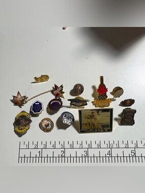 Lot - Assorted 14 vintage pins